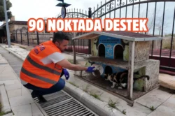 Elazığ’da sokak hayvanlarına mama ve su desteği