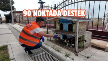 Elazığ’da sokak hayvanlarına mama ve su desteği