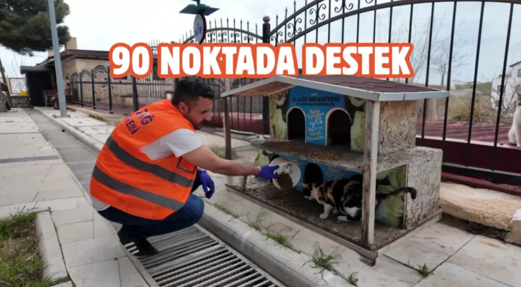 Elazığ’da sokak hayvanlarına mama ve su desteği