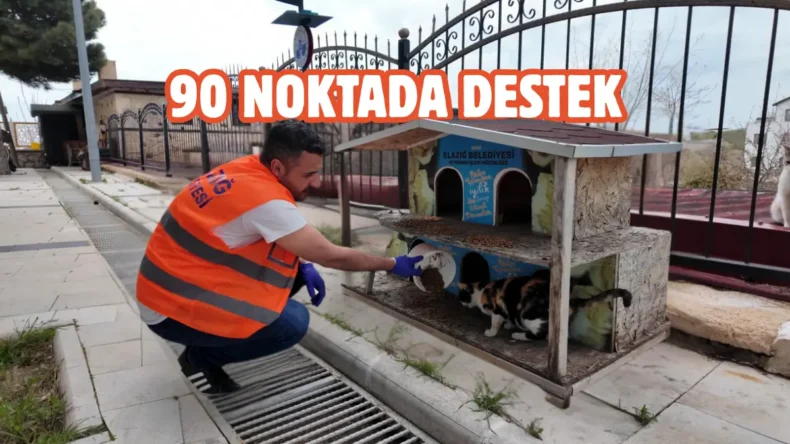 Elazığ’da sokak hayvanlarına mama ve su desteği