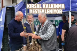 İzmir Beydağlı üreticiye çifte destek