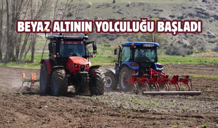 Kızılcahamam’da tarımsal uyanış: Çeltiğin ikinci yılı