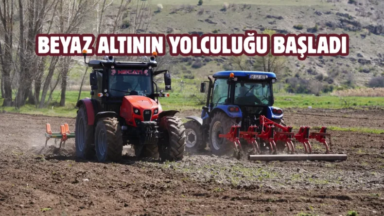 Kızılcahamam’da tarımsal uyanış: Çeltiğin ikinci yılı