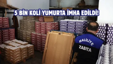 Haliliye’de sağlıksız depoya baskın