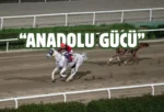 Şanlıurfa’nın Kurtuluşu coşkuyla kutlanıyor! Koşuyu “Anadolu Gücü” kazandı