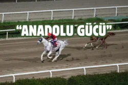 Şanlıurfa’nın Kurtuluşu coşkuyla kutlanıyor! Koşuyu “Anadolu Gücü” kazandı