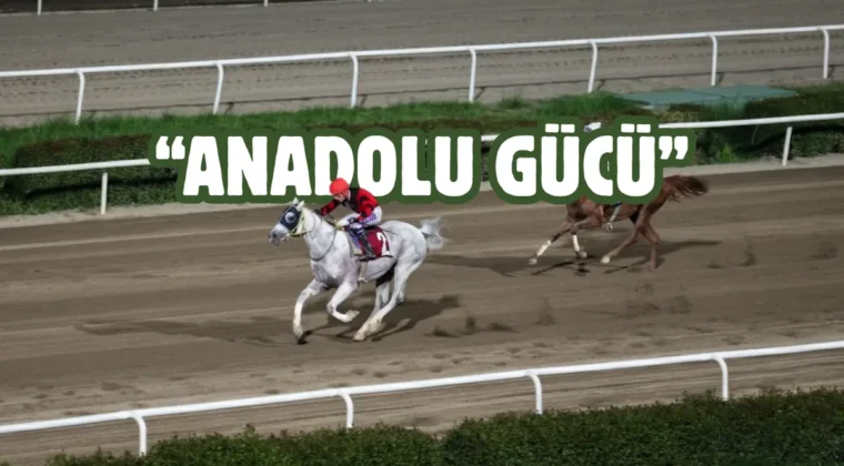 Şanlıurfa’nın Kurtuluşu coşkuyla kutlanıyor! Koşuyu “Anadolu Gücü” kazandı