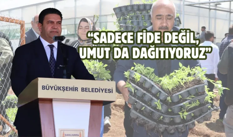 Şanlıurfa kırsalına büyük destek: 1 milyon fide dağıtıldı