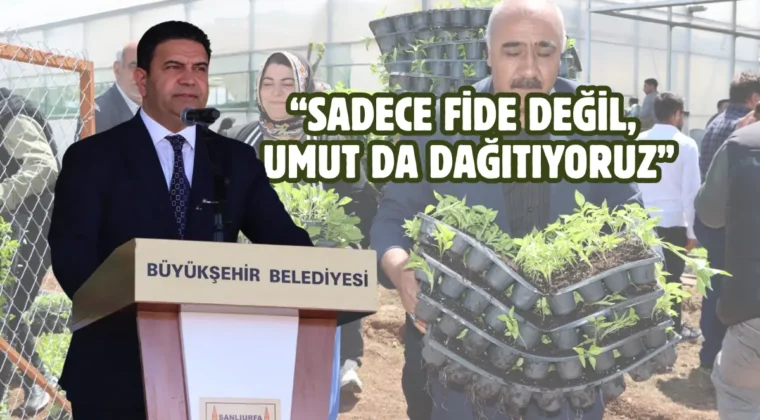 Şanlıurfa kırsalına büyük destek: 1 milyon fide dağıtıldı