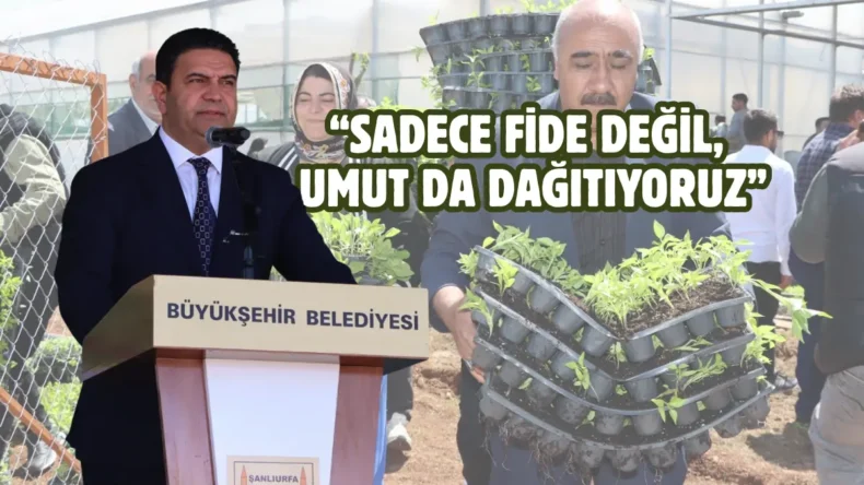 Şanlıurfa kırsalına büyük destek: 1 milyon fide dağıtıldı