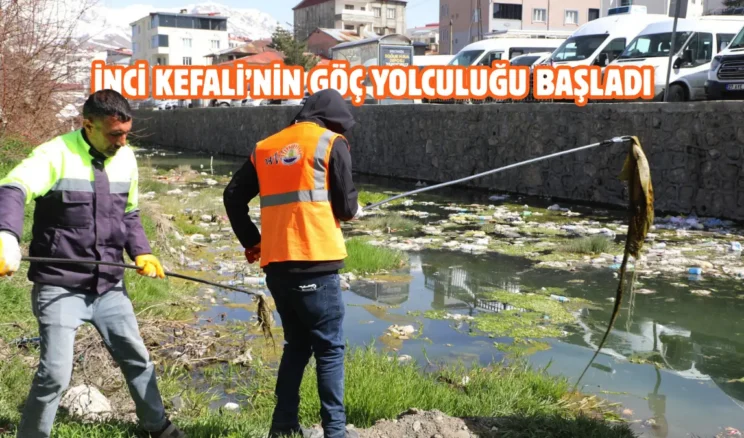 Van’da dere yatakları ve sahil bandı temizleniyor