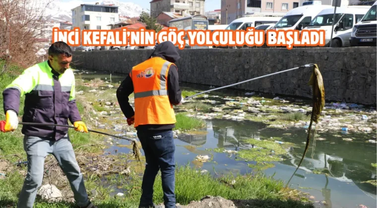 Van’da dere yatakları ve sahil bandı temizleniyor