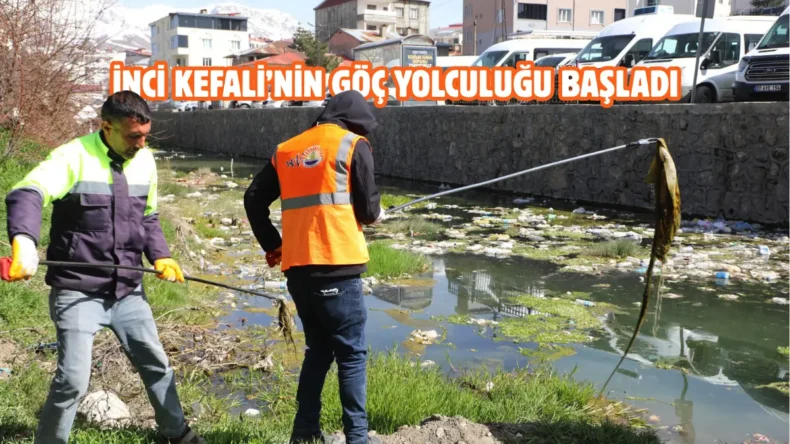 Van’da dere yatakları ve sahil bandı temizleniyor