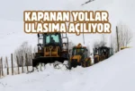 Van kırsalında karla mücadele çalışmaları sürüyor