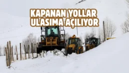 Van kırsalında karla mücadele çalışmaları sürüyor