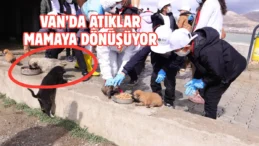 Dünya Sıfır Atık Günü’nde öğrenciler mama üretim tesisini gezdi
