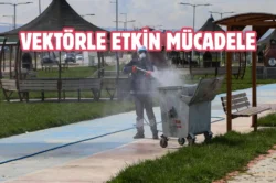 Van’da haşerelere karşı ilaçlama yapılıyor