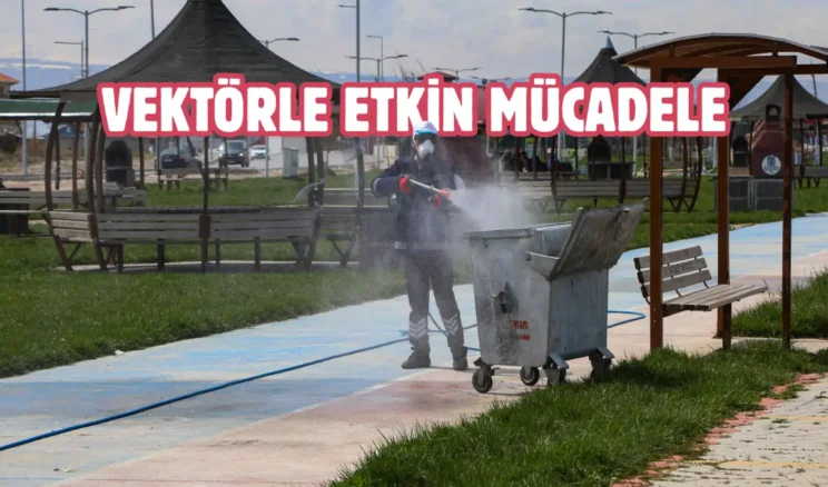 Van’da haşerelere karşı ilaçlama yapılıyor