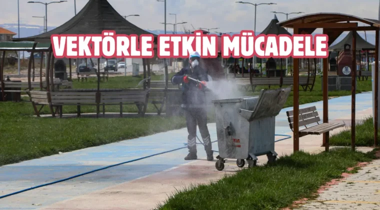 Van’da haşerelere karşı ilaçlama yapılıyor