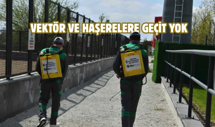 Ankara’da kapsamlı ilaçlama seferberliği