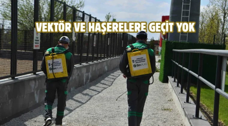 Ankara’da kapsamlı ilaçlama seferberliği