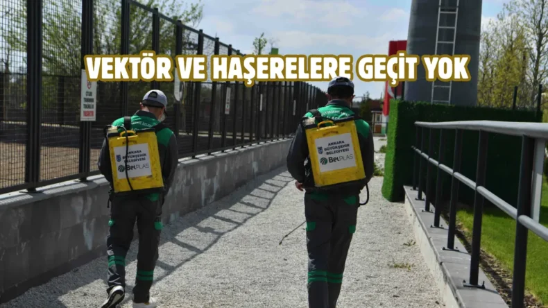 Ankara’da kapsamlı ilaçlama seferberliği