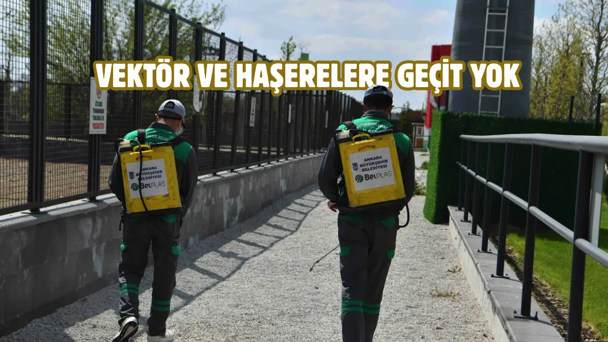 Ankara Büyükşehir Belediyesi, yaklaşan yaz ayı öncesinde halk sağlığını korumaya