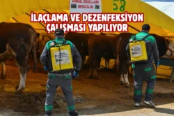 Ankara’da kurban satış alanlarına sıkı denetim