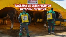 Ankara’da kurban satış alanlarına sıkı denetim