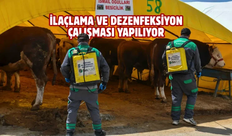 Ankara’da kurban satış alanlarına sıkı denetim