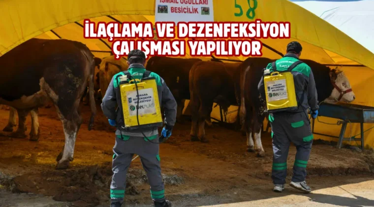 Ankara’da kurban satış alanlarına sıkı denetim