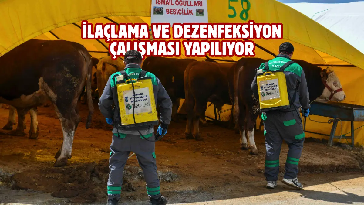 Ankara Büyükşehir Belediyesi, hayvansal atıklar nedeniyle oluşabilecek tüm haşerelere karşı