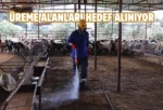 Antalya’da karasinekle mücadelede etkin ilaçlama