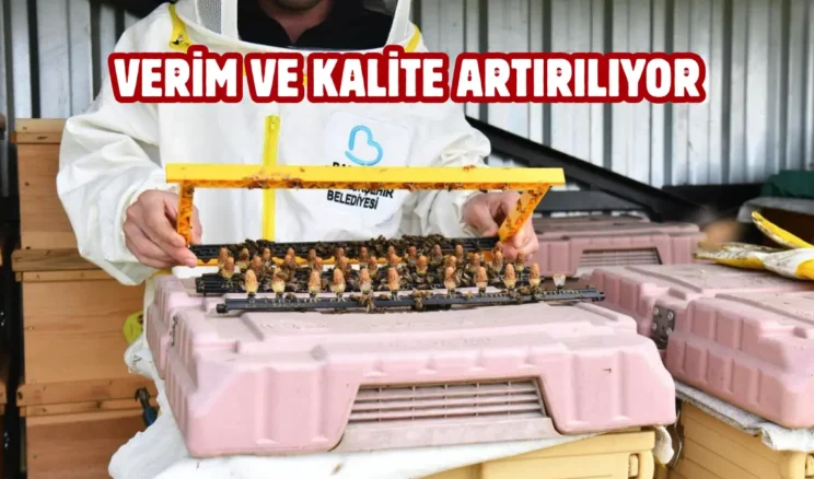 Balıkesir’de arıcıları sevindiren destek