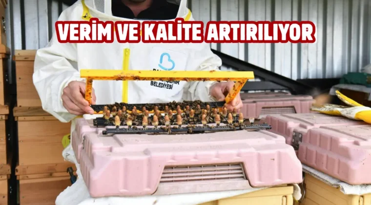 Balıkesir’de arıcıları sevindiren destek