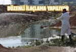 Batman Belediyesi’nden vektörel mücadele