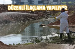 Batman Belediyesi’nden vektörel mücadele