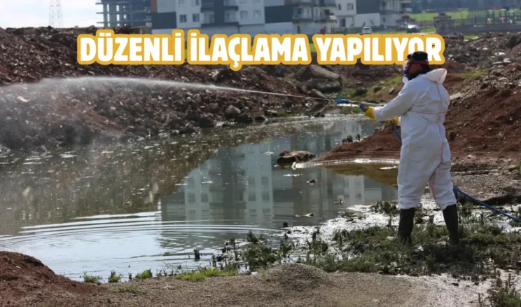Batman Belediyesi’nden vektörel mücadele