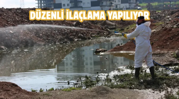 Batman Belediyesi’nden vektörel mücadele