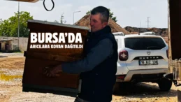 Bursa’da büyükşehirden üreticiye hibe destekli arı kovanı