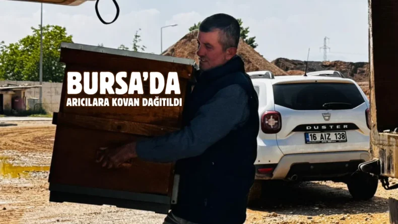 Bursa’da büyükşehirden üreticiye hibe destekli arı kovanı