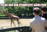 Bursa Hayvanat Bahçesi’ne bayramda ziyaretçi akını