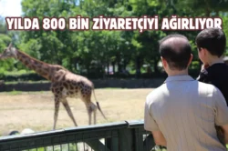 Bursa Hayvanat Bahçesi’ne bayramda ziyaretçi akını