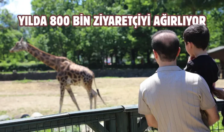 Bursa Hayvanat Bahçesi’ne bayramda ziyaretçi akını