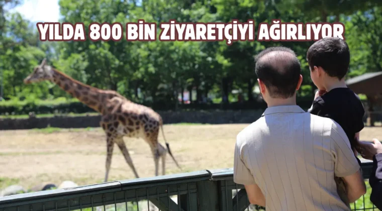 Bursa Hayvanat Bahçesi’ne bayramda ziyaretçi akını