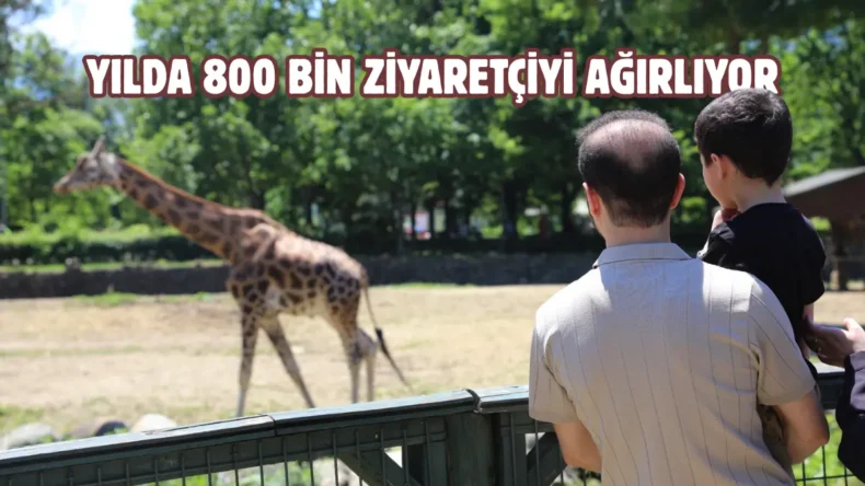 Bursa Hayvanat Bahçesi’ne bayramda ziyaretçi akını