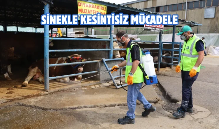 Bursa’da kurban satış ve kesim yerleri ilaçlanıyor