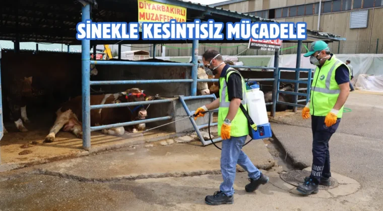 Bursa’da kurban satış ve kesim yerleri ilaçlanıyor