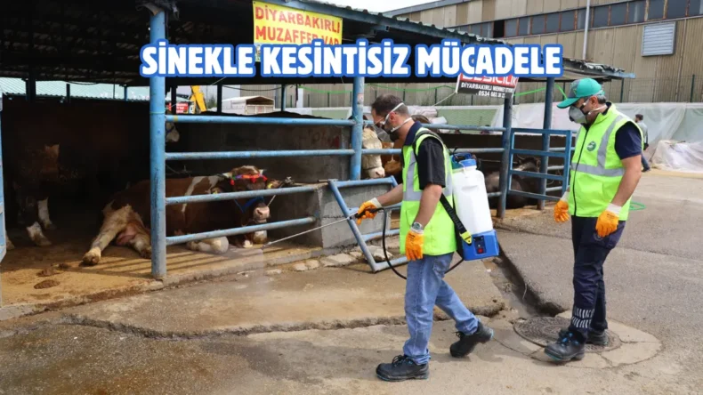 Bursa’da kurban satış ve kesim yerleri ilaçlanıyor