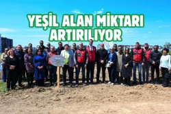 Çanakkale Kent Park’ta ağaçlar toprakla buluştu